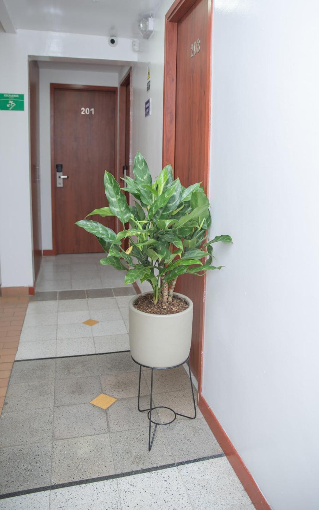Hotel Park Real